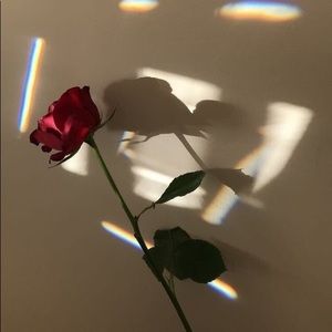 Meet your Posher, Gianna